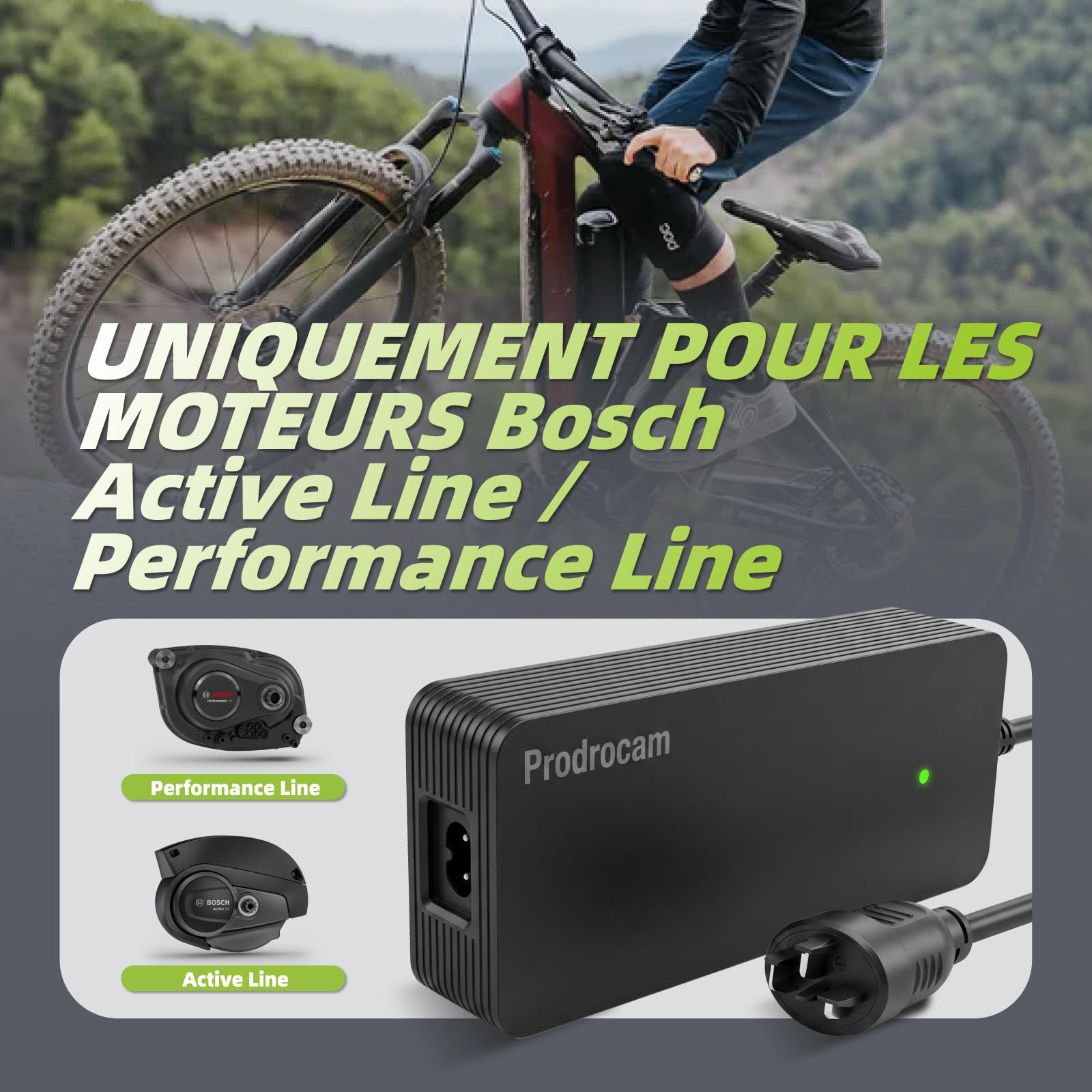Chargeur 42V 4A pour Bosch Performance/Active Line Vélos | Pour Bosch Vélos Electriques de 36V Moteurs, Pour Batteries PowerPack 400, PowerPack 500, PowerTube 625, PowerTube 750