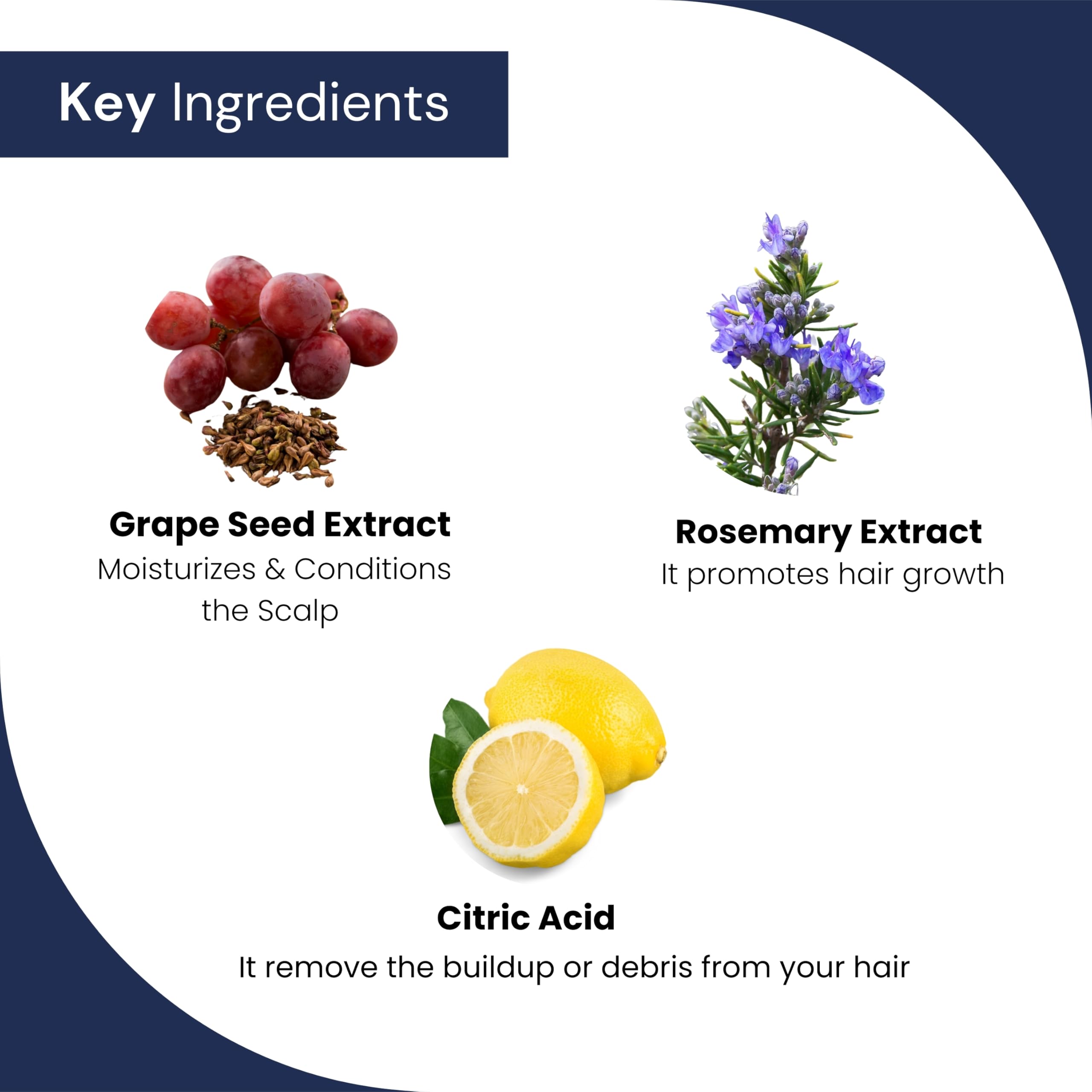 VINR ROSEMARY Water SPRAY for Hair Growth & Thickness | INFUSED WITH VITIS VINIFERA | Enriched with Rice Water & Grape Extract | 100% Natural Rosemary Hair Mist | Controls Hairfall, Adds Shine & Softness | Fast-Absorbing, 100 ml - Image 5 thumbnail