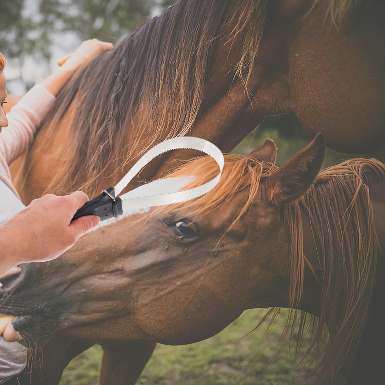 SUPVOX Cepillo De Pelo De Caballo De Acero Inoxidable Con Mango De Plástico Herramienta De Aseo Raspador Para Caballos Y Ideal Para Eliminar Pelo Suelto 11.8X3.7X0.6 Pulgadas