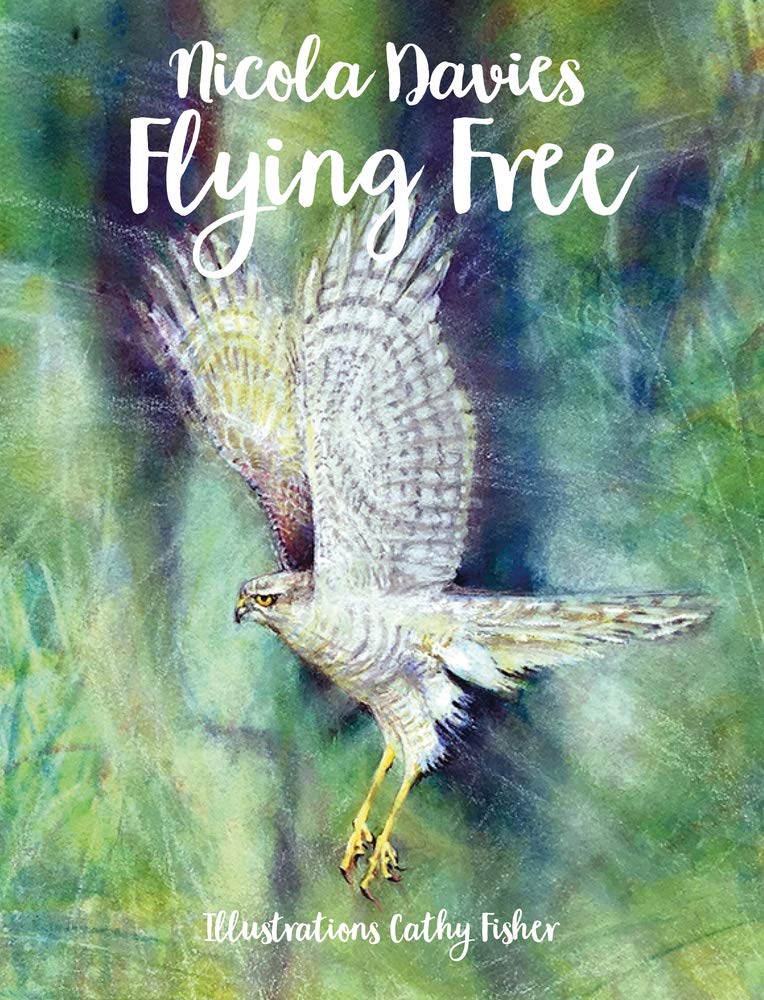 Flying Free (Country Tales): 2 By Nicola Davies,Cathy Fisher,Cathy Fisher