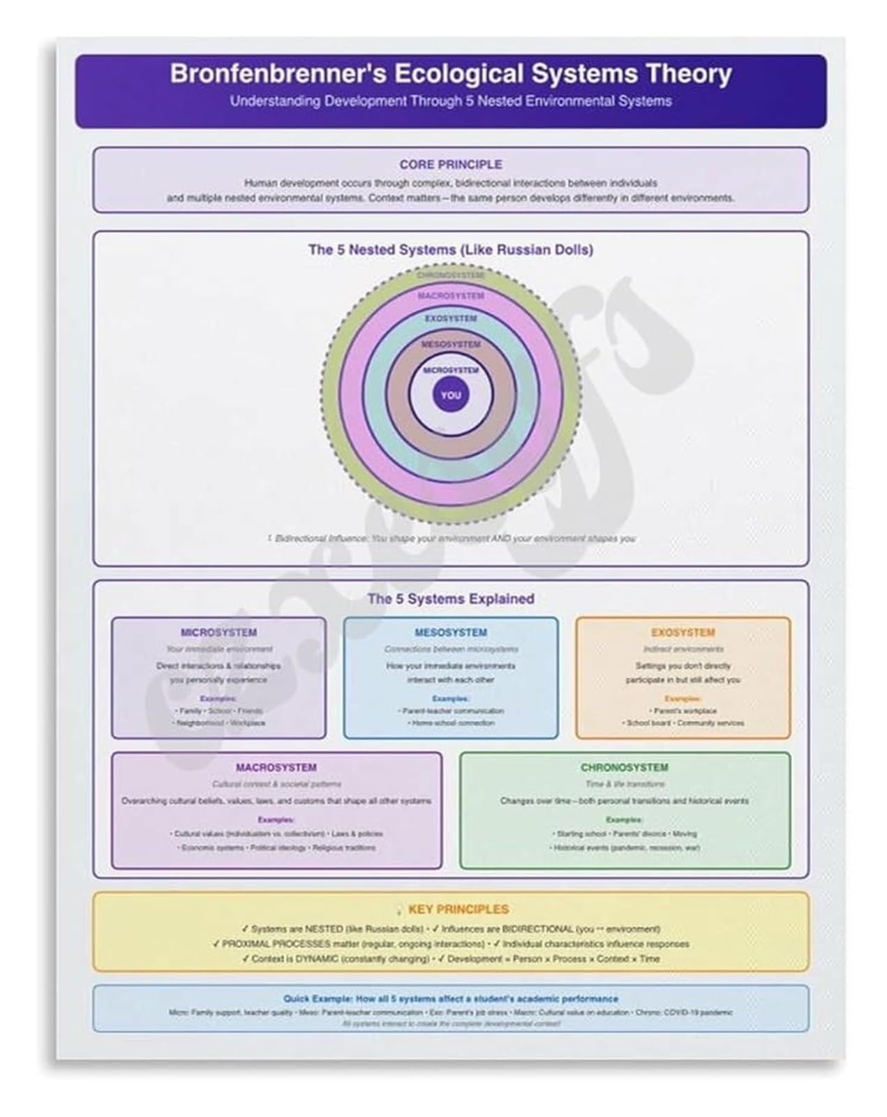 LLBOGRGGN Bronfenbrenner Ecological Systems Theory Reference Poster for Psychology Majors Social Workers Educational Canvas Art