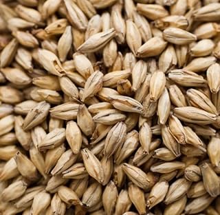 Briess Vienna Brewing Malt Whole Grain 1lb Bag