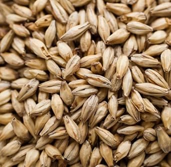 Briess Victory Brewing Malt Whole Grain 1lb Bag