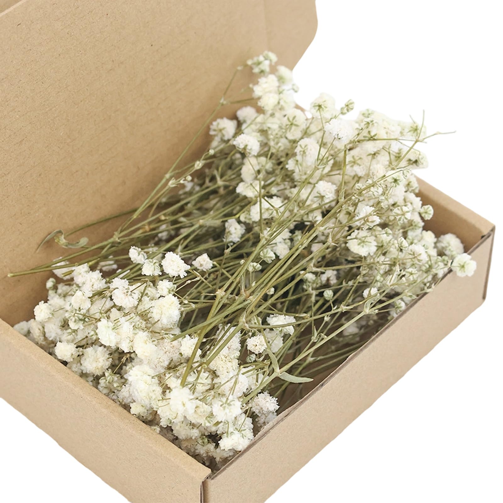 Xuancai Natural Looking Preserved Gypsophila Flower for Bouquets and Room Decoration Table Centerpieces Accessories Dried White Gypsophila Bunch