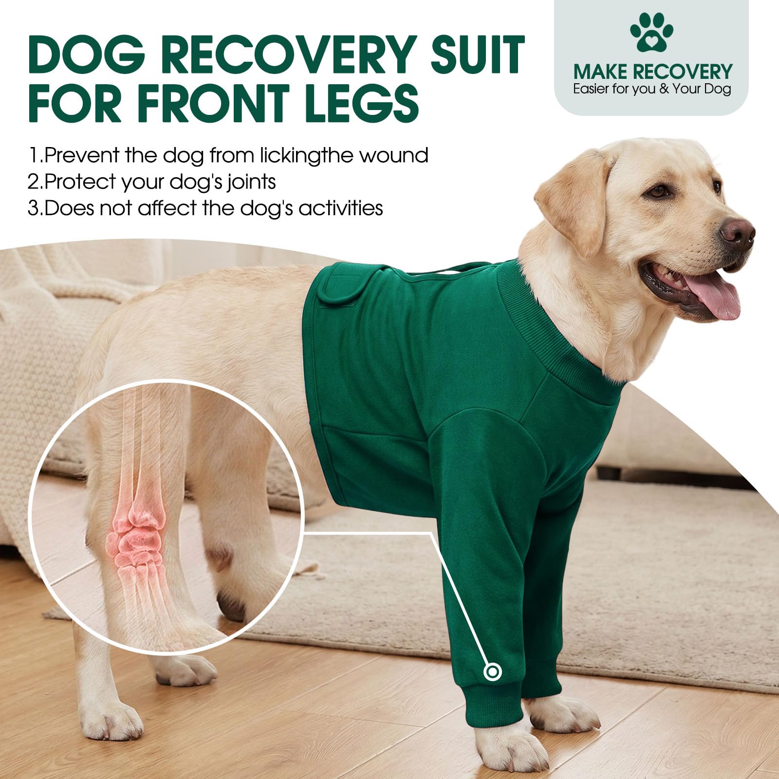 CITÉTOILE Manchon de Récupération Chirurgicale Chien, Protection Contre Les blessures à la Jambe Avant pour Chien de Taille Moyenne et Grande, Vert, S