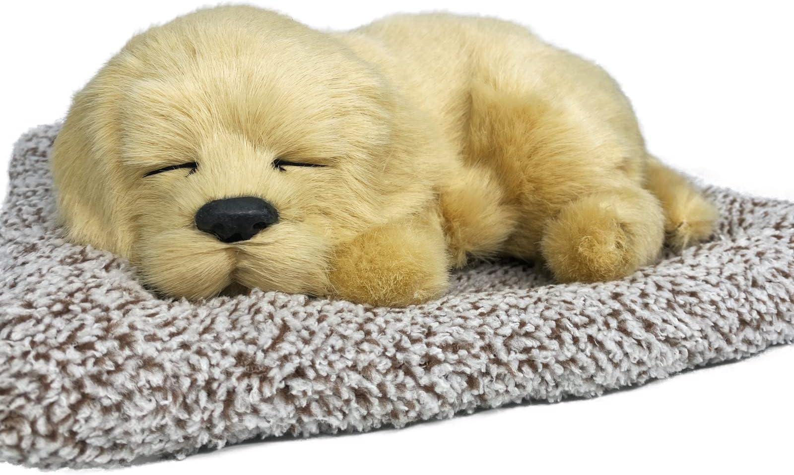 Vsing Stuffed Animals