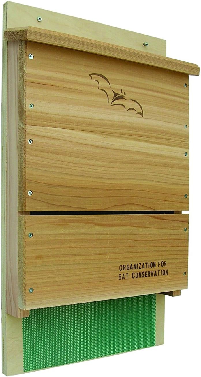 Looker Songbird Essentials Organization for Bat Conservation (OBC) Single Chamber Bat House