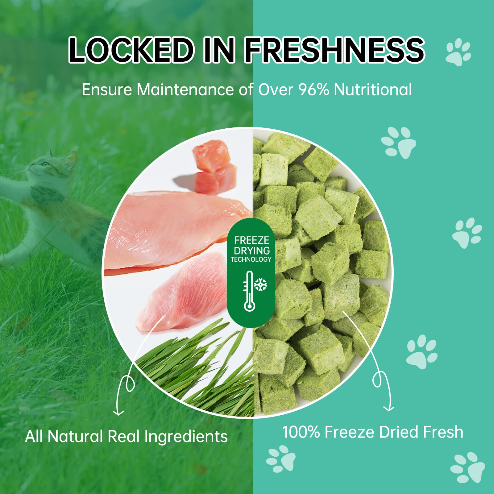 yizeril Freeze-Dried Cat Grass Dental Treats - Natural Teeth Cleaning Chews,Hairball Control,Grain-Free Edible Snacks for Indoor Cats & Kittens (80g)