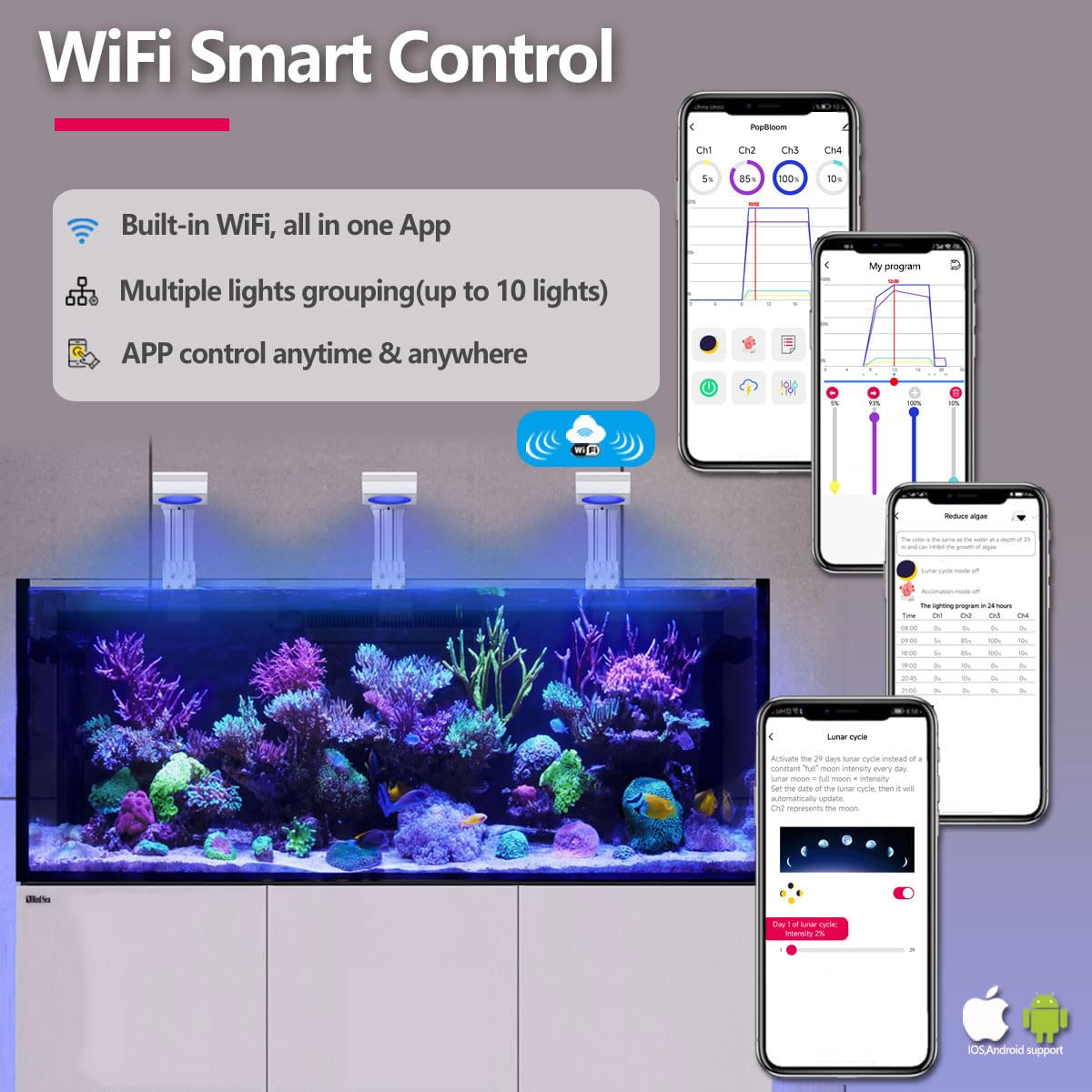 View 5