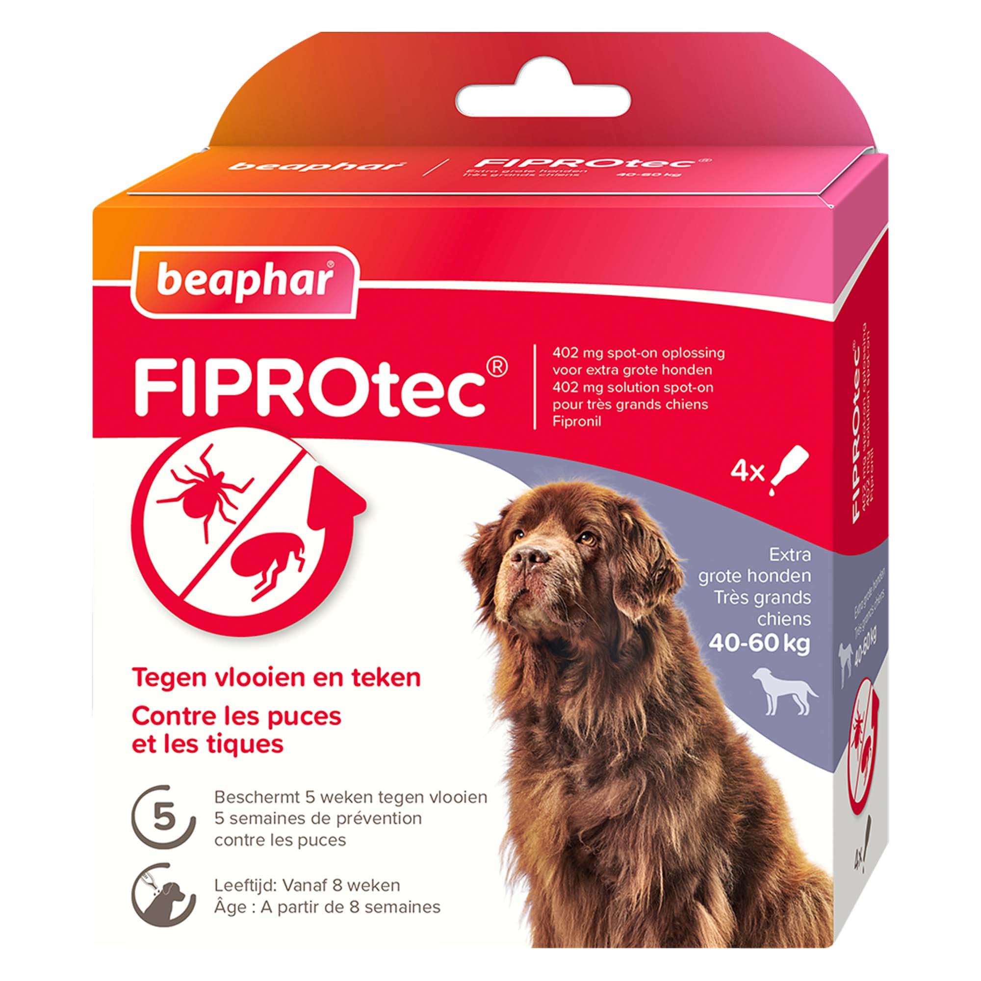 BEAPHAR – FIPROTEC Solution Spot-on pour très Grands Chiens (40-60 kg) 402 mg – À Base de Fipronil – Contre Les Puces – Protège Contre Les Infestations par Les Tiques – 4 Pipettes de 4,02 ML