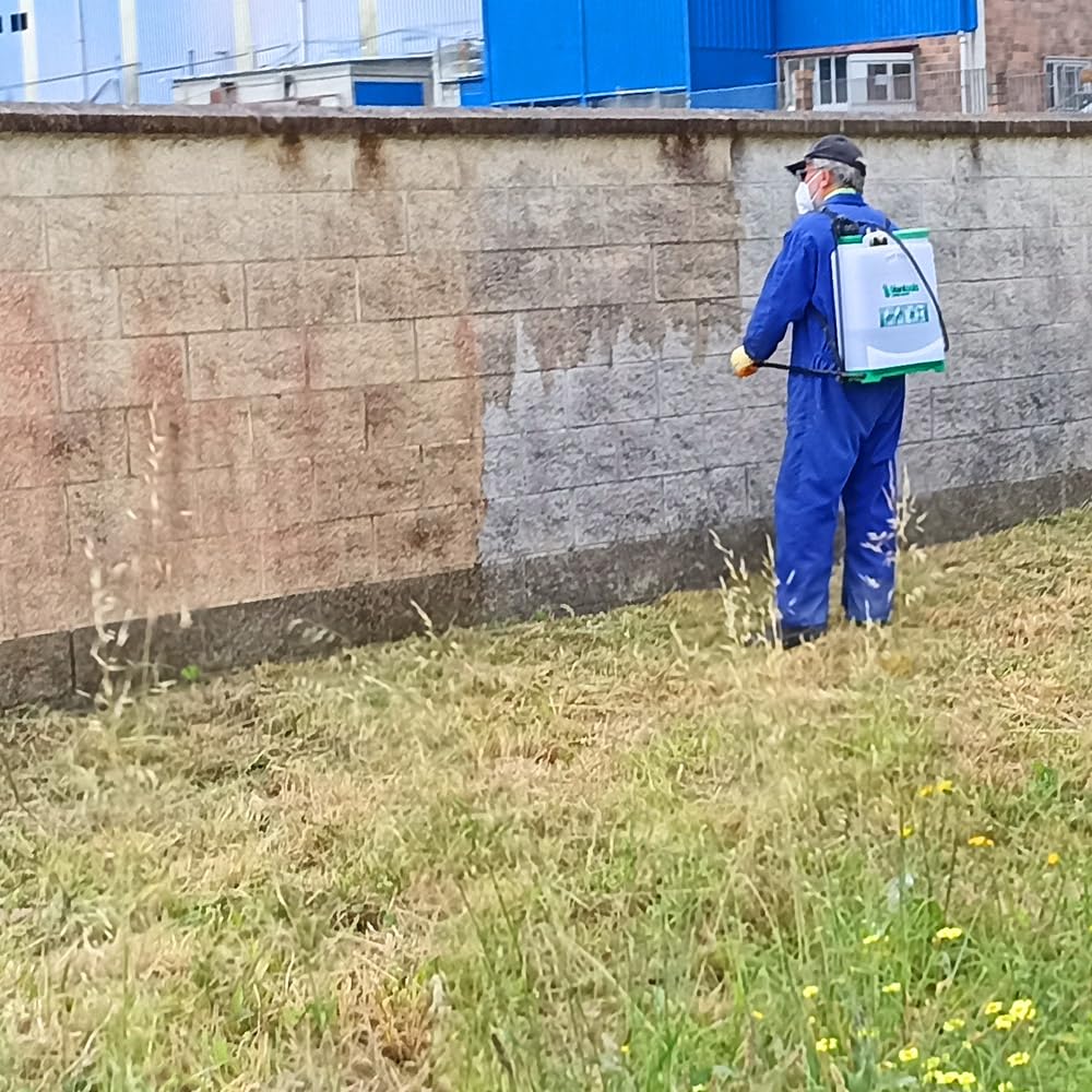 Sopgal Limpiador Fachadas 25L Prepara Superficies para Hidrofugado | Limpia en profundidad fachadas y elimina suciedad incrustada para mejorar la eficacia del tratamiento posterior.