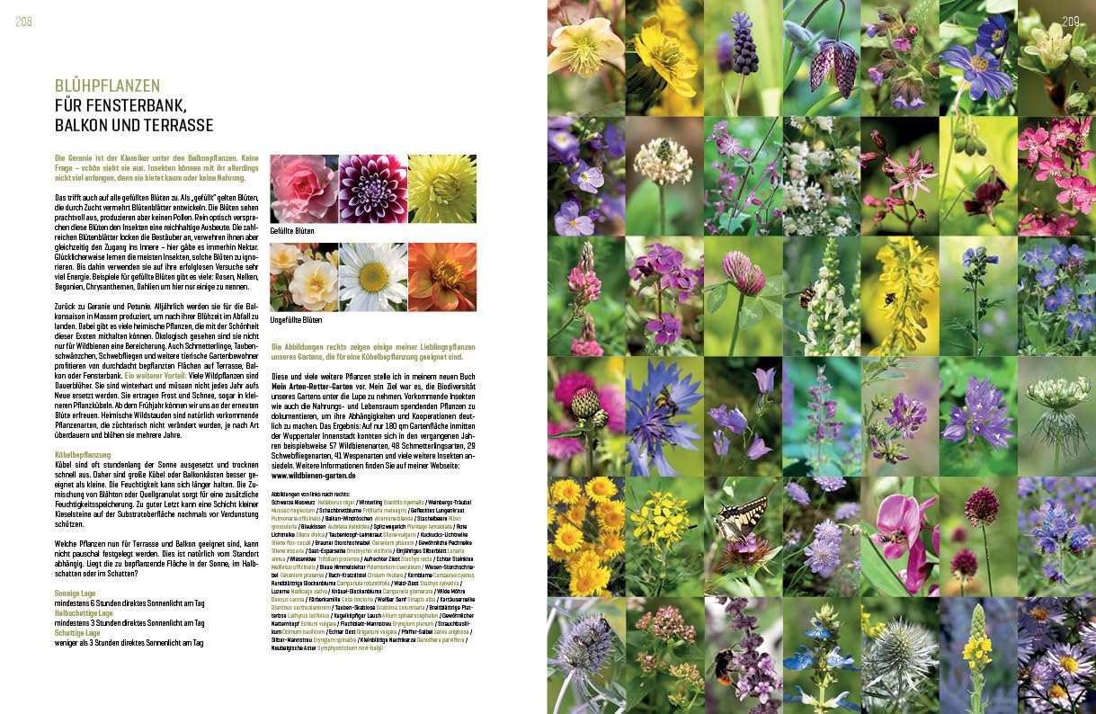WILDBIENENHELFER: Wildbienen & Blühpflanzen