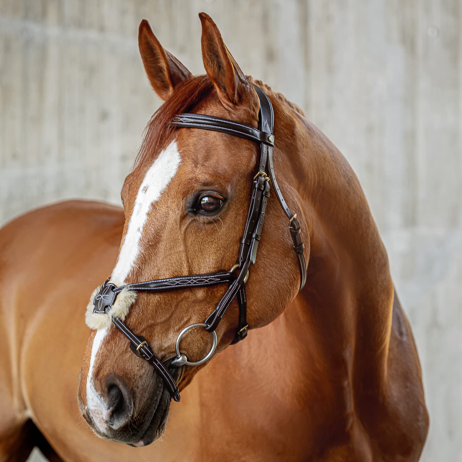 SUNRIDE cabezada Mexicana para Caballo (Acapulco) con riendas – Cuero Genuino Suave – anatómica, Ajustable – Acolchado Extra – con Borrego – Hecha a Mano – Acero Inoxidable(Full, marrón)