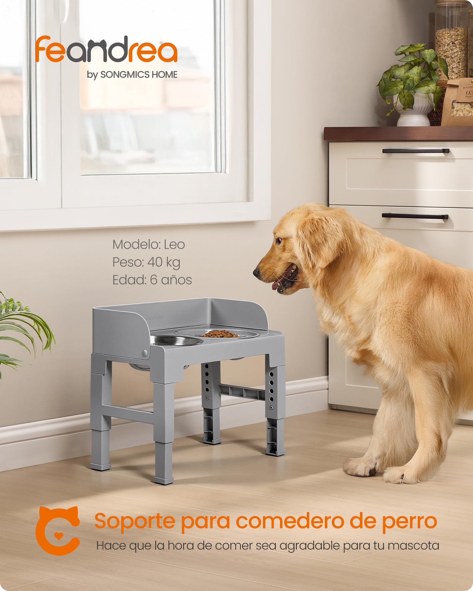 Feandrea Comedero Elevado para Perros con Soporte, 1 Comedero Lento y 2 Comederos de Acero Inoxidable 304, Altura Ajustable y Diseño Inclinado, Gris Paloma PRB103GD01