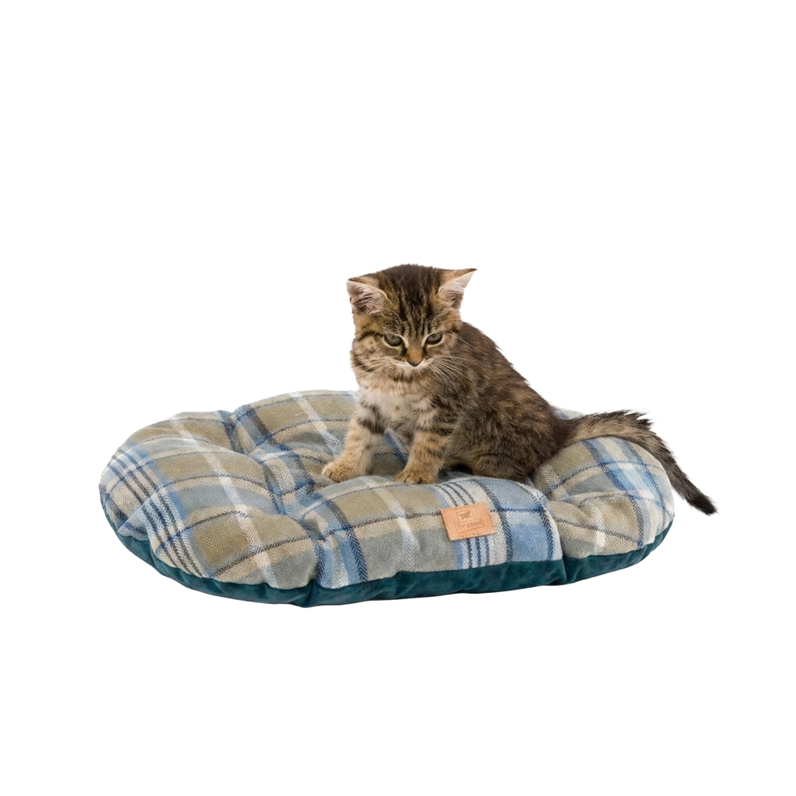 Ferplast Cuscino imbottito per cani e gatti SCOTT 45/2, Double-face, Scozzese, Soffice velluto, Lavabile, Blu