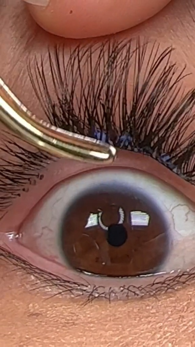 Amazon.com : LINX Lash Glue Segmented DIY False Eyelash Cluster