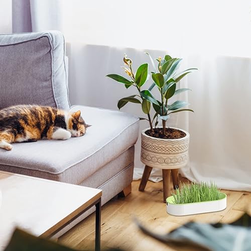 Miniatura 7 de Ckuakiwu Maceta de césped para gatos, maceta de guardería con riego automático, caja de ventana verde para interiores, contenedor de plantación