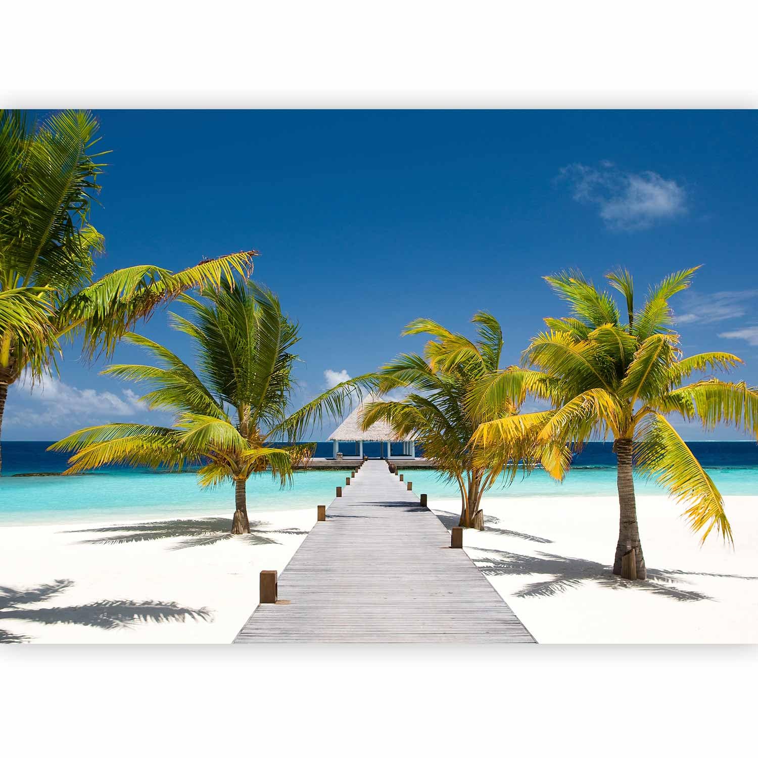 murando - Carta da Parati Adesiva Spiaggia e Mare 245x175 cm Fotomurali Adesivi Murali Rivestimento Parete Moderna per Pareti Adesiva Muro Decorativo Fotomurale Soggiorno Paesaggio Ponte