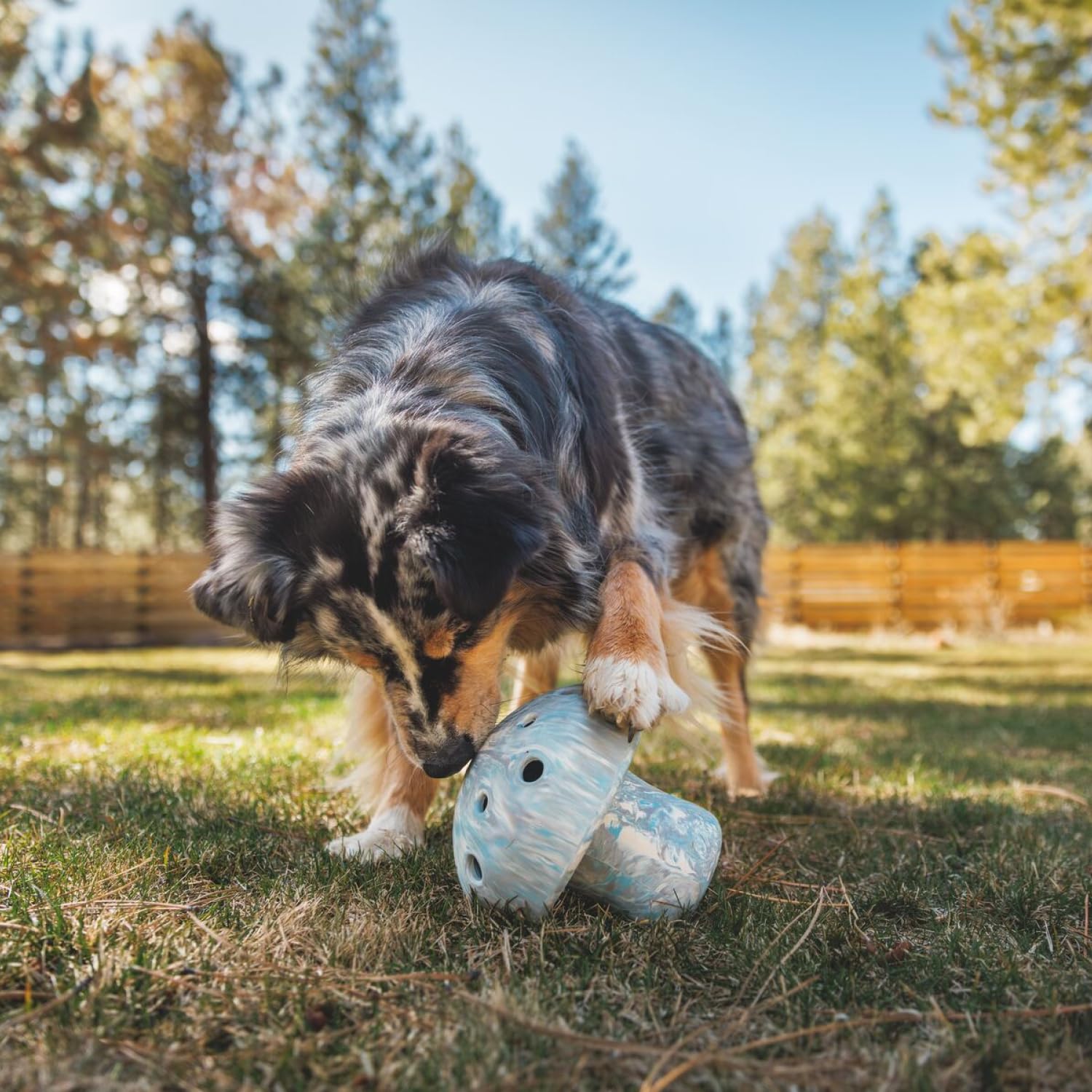 RUFFWEAR Porcini Hundespielzeug, interaktives Kauspielzeug für große Hunde und langsamer Futterautomat, haustiersicherer Hundeleckerli-Spenderball, Moosgrün
