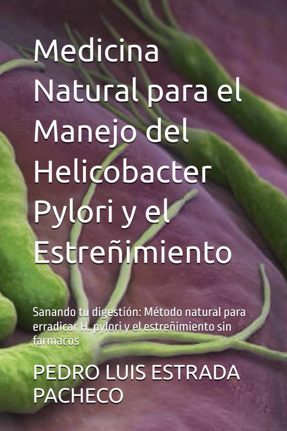 medicina natural contra el helicobacter pylori