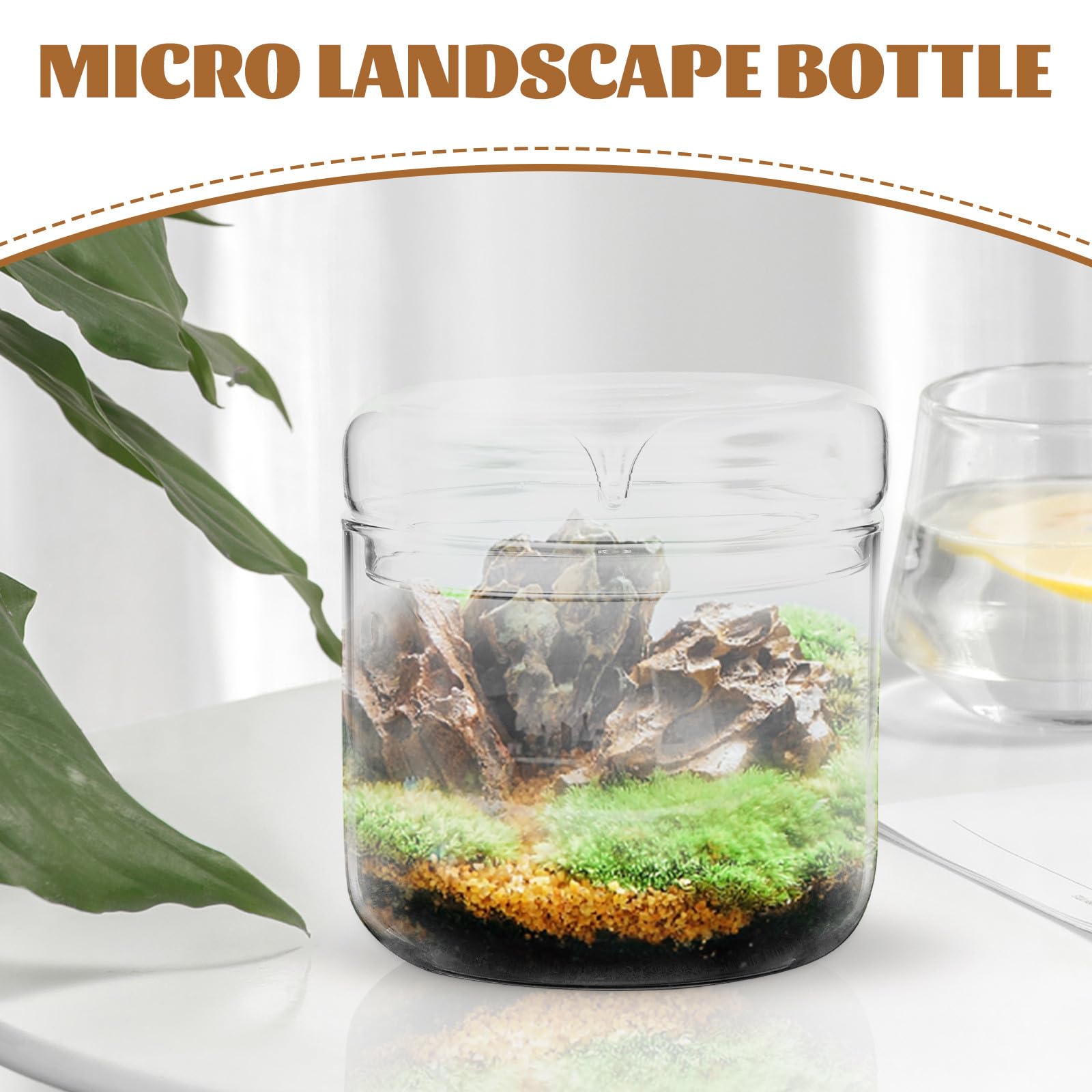 Terrario di Vetro per Piante Ecosistema Multifunzionale, Contenitore Paesaggistico Piccolo per Micro Paesaggi Fai da Te, Decorazione da Tavolo per Soggiorno, Ufficio e Interni