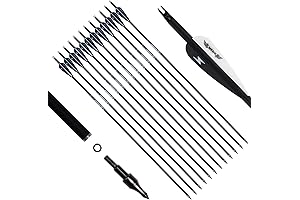 Sanlida Archery Arrows for Compound & Recurve Bow, 31inch Carbon Arrow