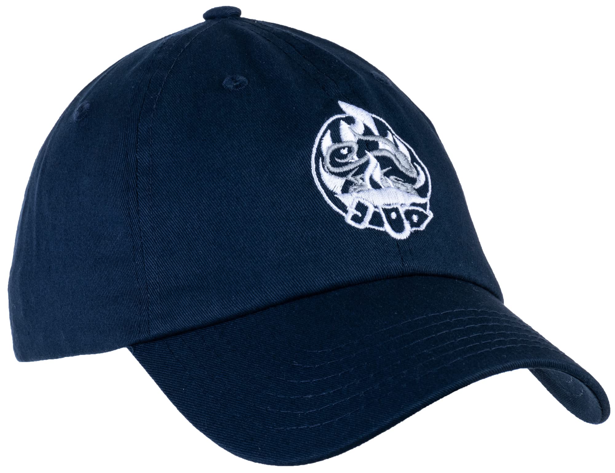 Ann Arbor T-shirt Co. Scottish Clans & Cities | Scotlant Lion Saltire Unisex Baseball Hat for Men Women