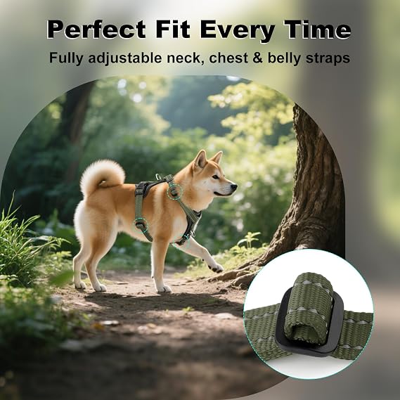 Plutus Pet No Pull Dog Harness with Leather Accents, Adjustable Reflective | Heavy Duty Nylon Pet Vest, for Training and Hiking, Front Clip, Easy Walk for Small Medium Large Dogs, Ranger Green, L