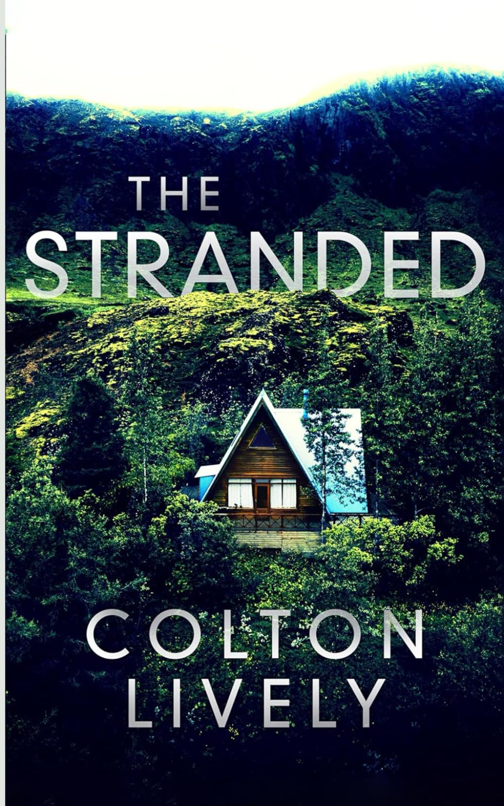 The Stranded : An EMP Post Apocalypse Prepper Thriller: 100 (EMP Survival in a Powerless World)