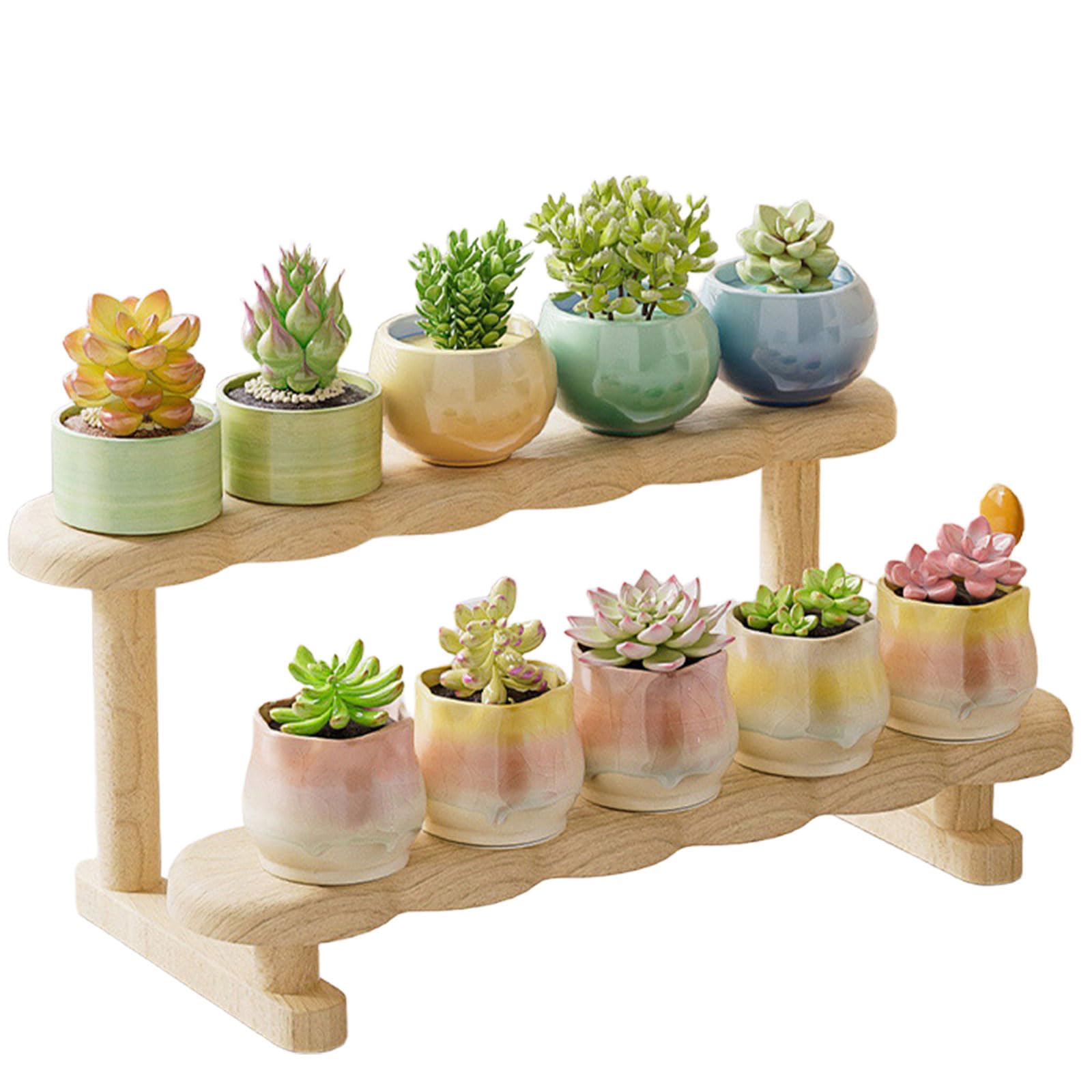 DECORN Small Plant Stand Shelf, Wood Long Desktop Flower Pot Holder Racks for for Succulents, Herbs, Air Plants, Countertop Organizer Display Stand Shelves,2 Tier 25.5cm/10" L