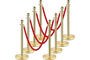 Stainless Steel Stanchion Post with Velvet Rope Barriers
