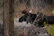 Review Image by Keira C. Keira C.