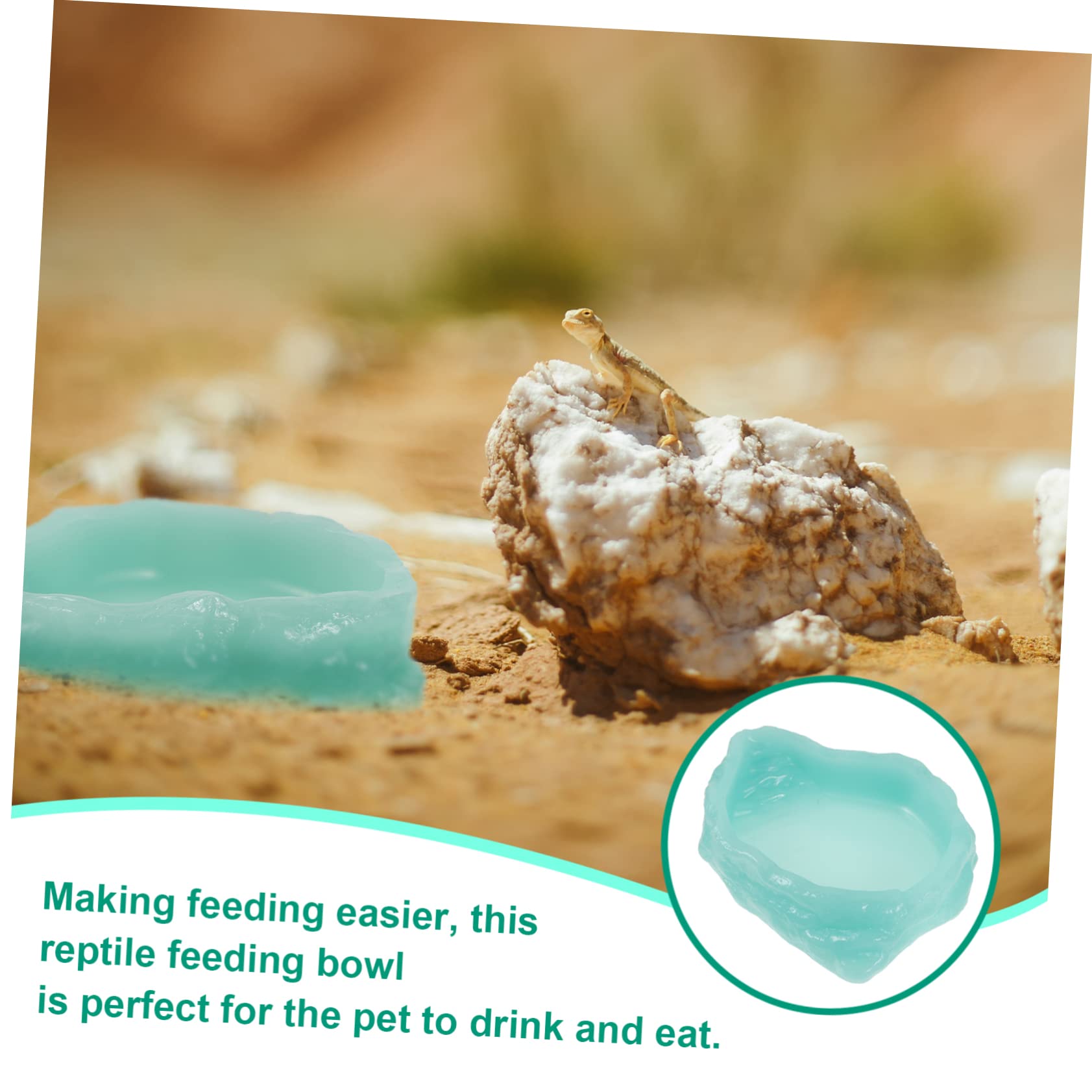 Plato Alimentador Luminiscente para Reptiles Tazón para Comida y Agua para Tortugas Resistente La Alimentación Nocturna