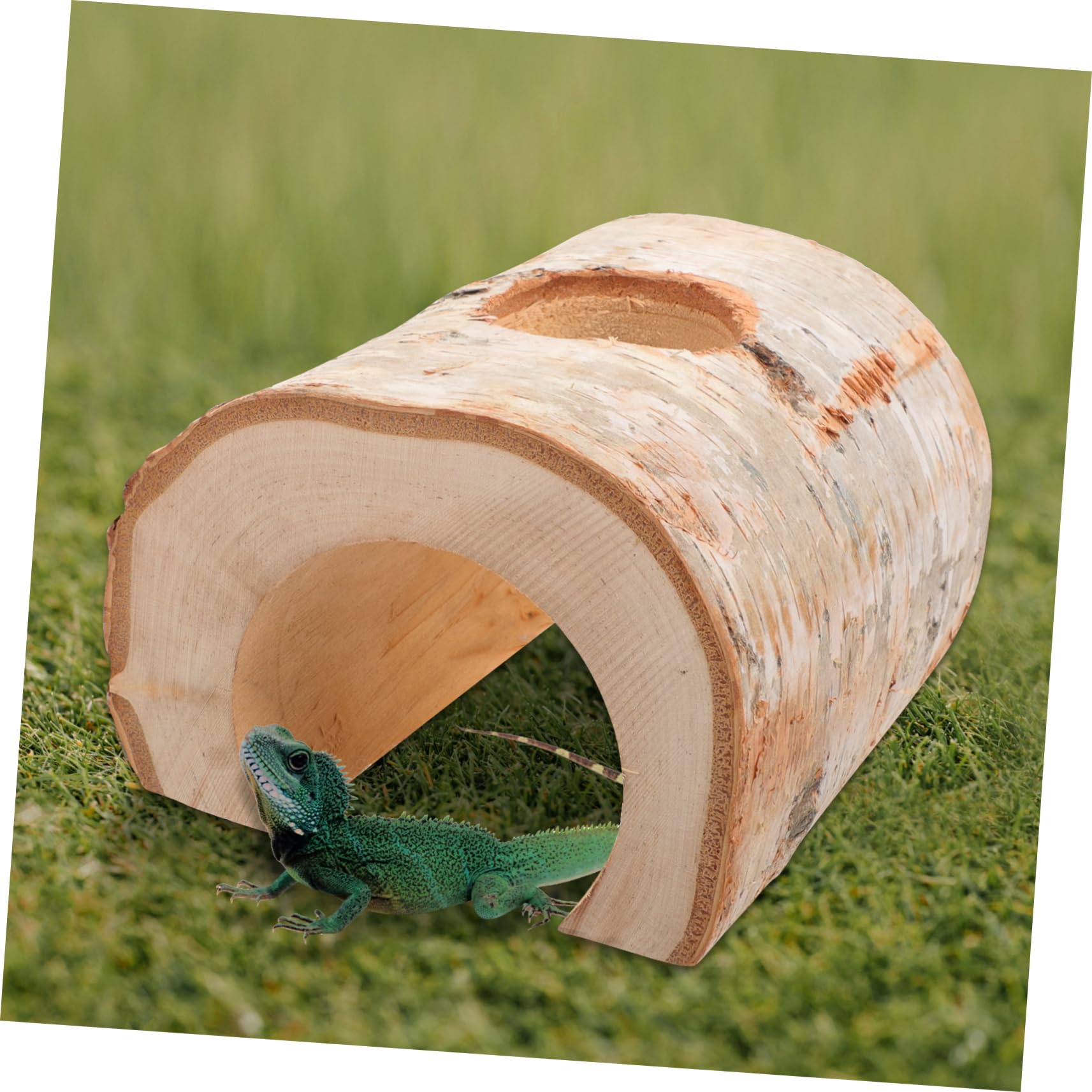 Kisangel Hamster Tunnel Birke Naturholz Spielzeug Für Kleintiere Als Versteck Und Kauspielzeug Außen Innen Und Langlebig Für Hamster Meerschweinchen Und