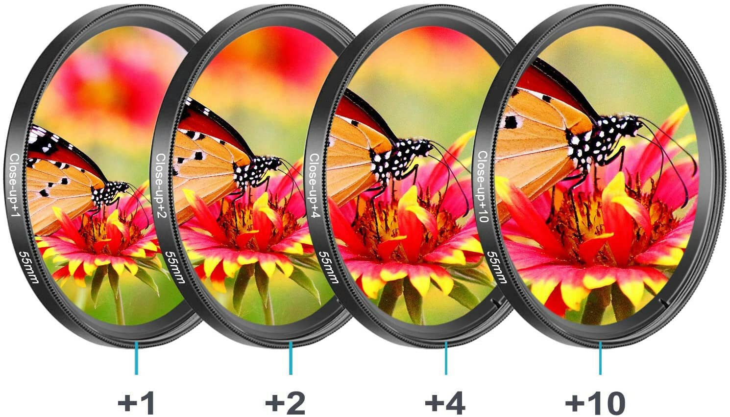 Yangers Kit Filtres Macro +1, +2, +4, +10 Pour Reflex | 55mm | Verre Optique, Alliage Aluminium