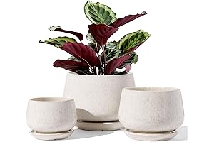 LE TAUCI Ceramic Flower Pots Indoor