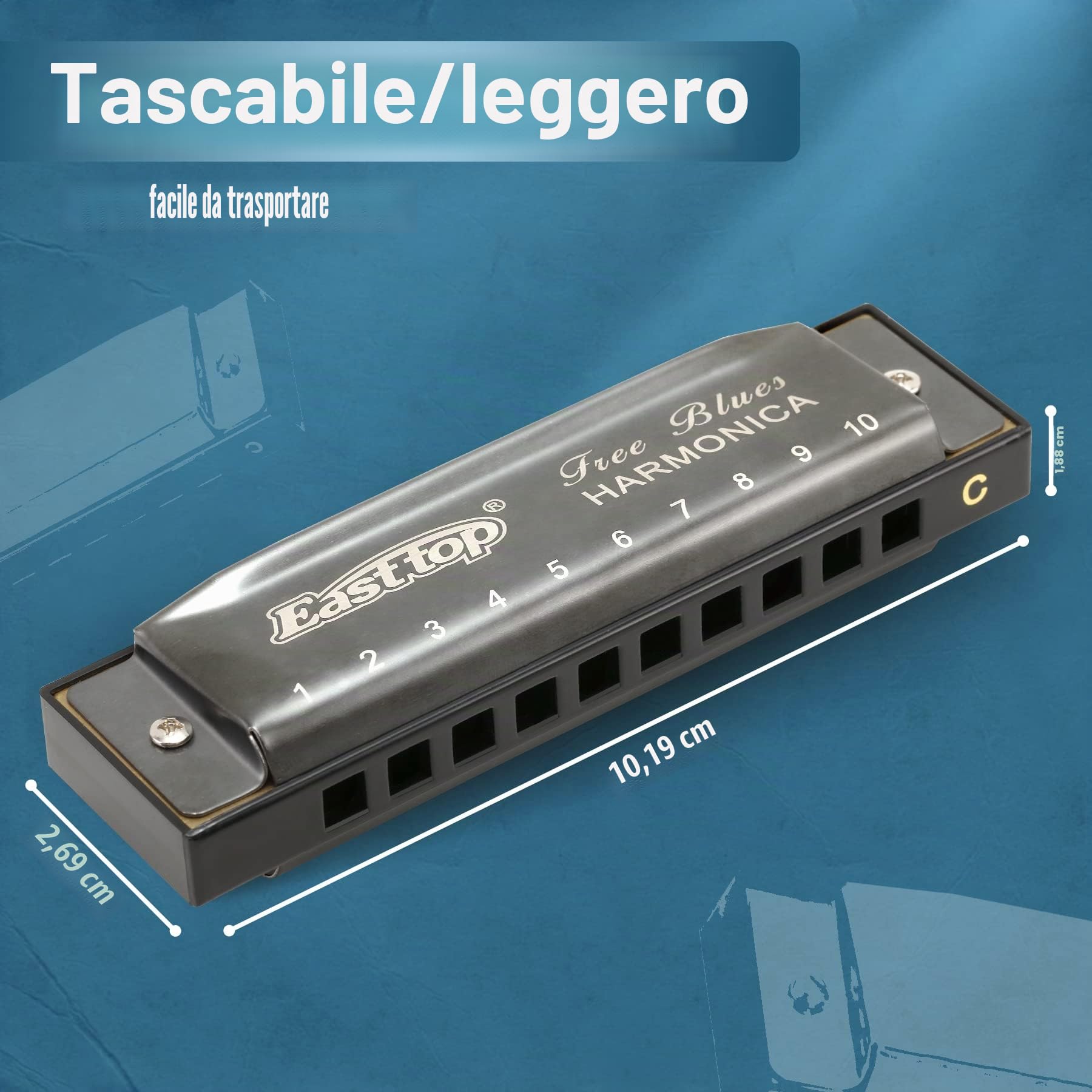 East top - Armonica diatonica a 10 fori, 20 toni, chiave di C Blues bocca organo, armonica per adulti, principianti, professionisti e studenti (grigio argento)