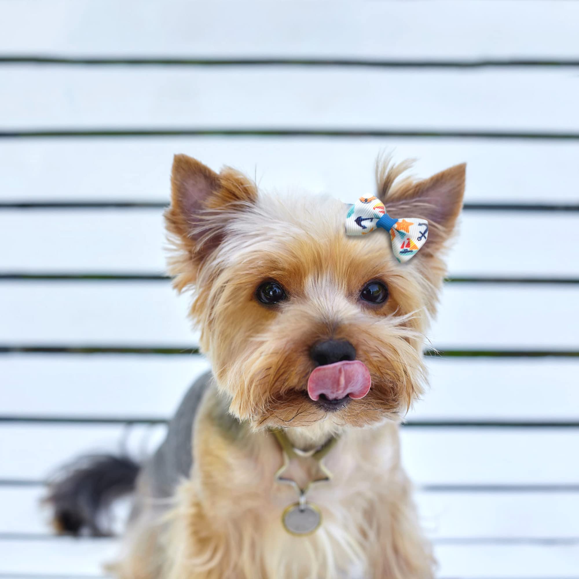 Accessoires pour Cheveux de Chien Arc Coiffe 50 Pièces épingle à Cheveux Animaux Cheveux de Chien Arcs Accessoires avec des Bandes de Caoutchouc pour Petits Chiens, Chats, Couleurs au Hasard