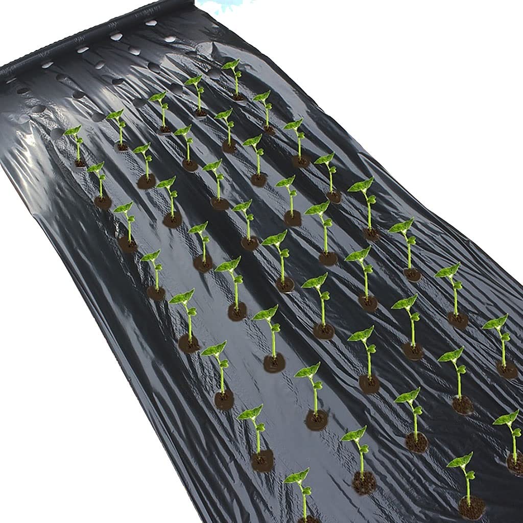 Paillis agricole pré-perforé anti-mauvaises herbes potager 10m