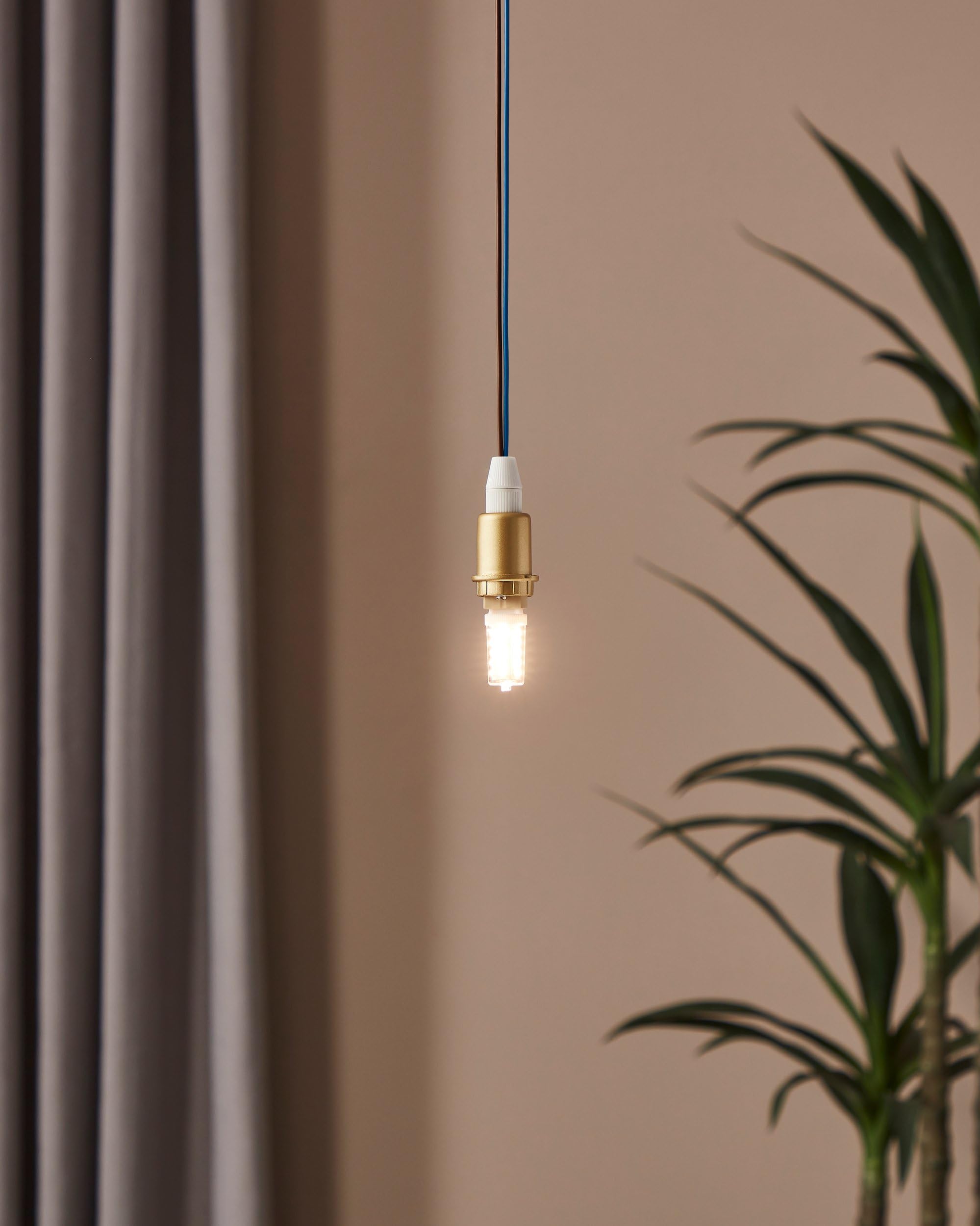 Eglo LED G9 regulable, lámpara con base pin, bombilla enchufable de 3 vatios (corresponde a 30 vatios), 320 lúmenes, iluminante de mazorca blanco cálido, 3000k, foco pin Ø 1,6 cm (Paquete de 5)