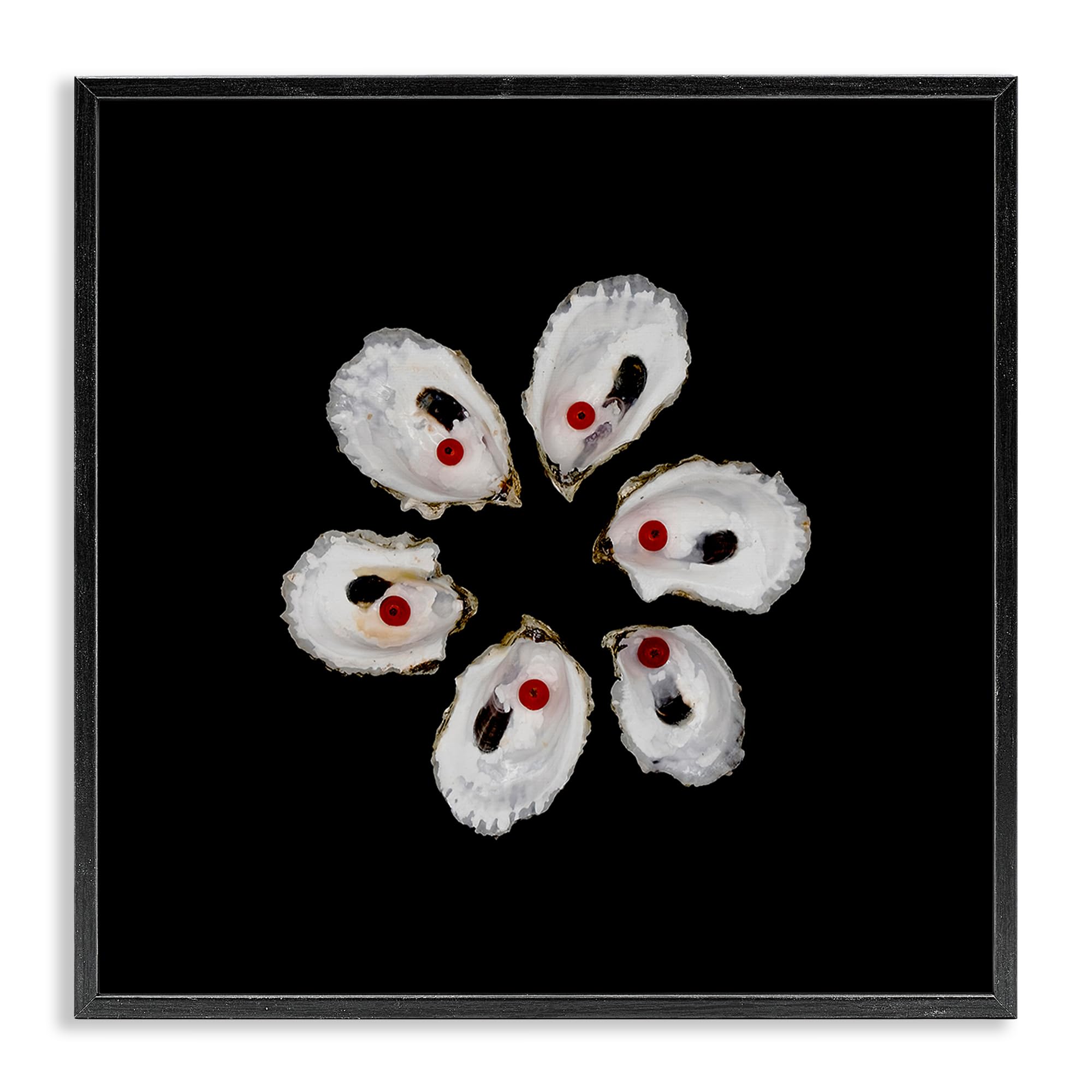 Stupell Industries Midnight Black (Textured) Oyster Shell Symmetry Coastal, 17 X 17 Inch Framed Giclée Print