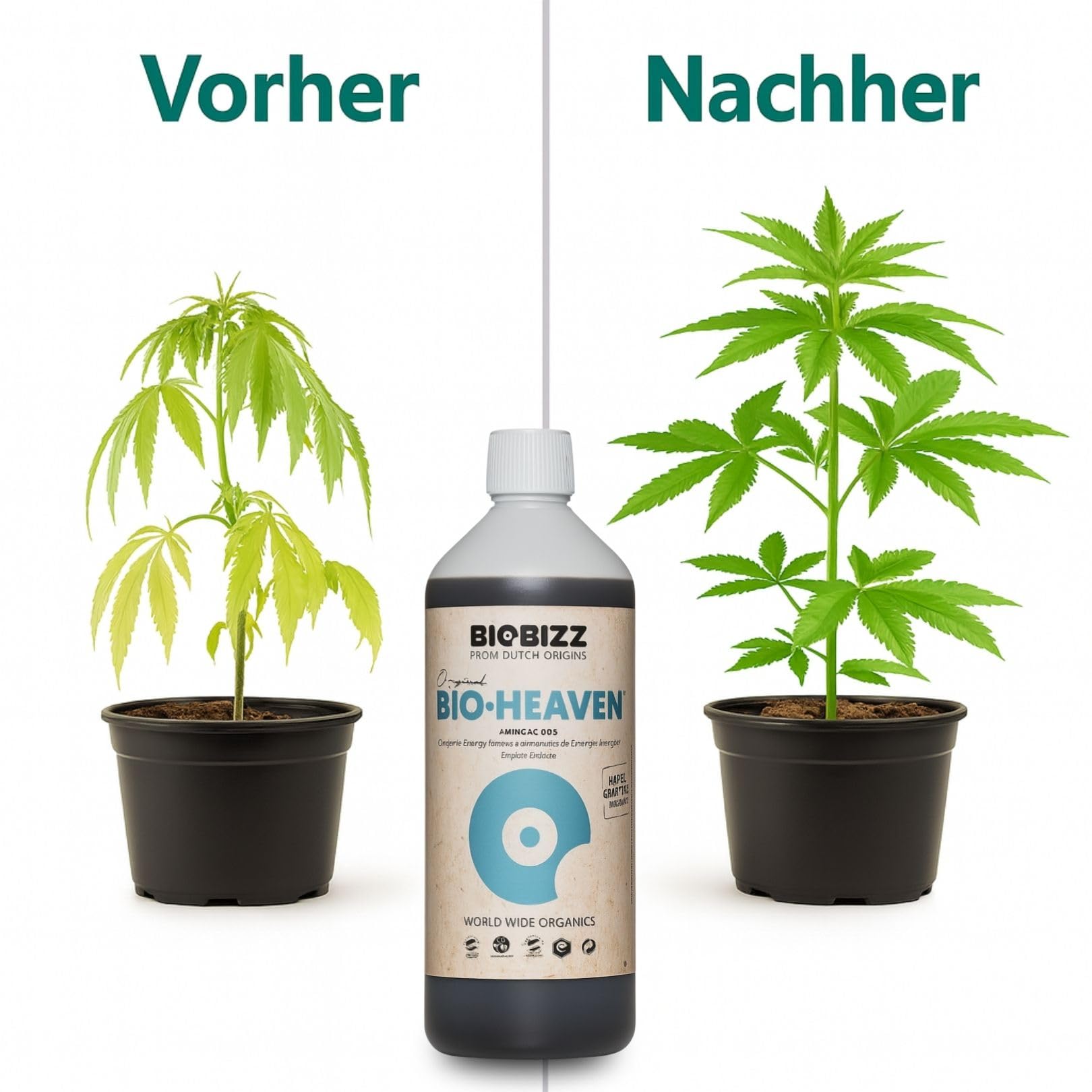 Weedness BioBizz Bio Heaven 1 Liter - Naturdünger Grow Anbau Indoor Tomaten Flüssig Orchideen Bonsai Bio Organischer NPK