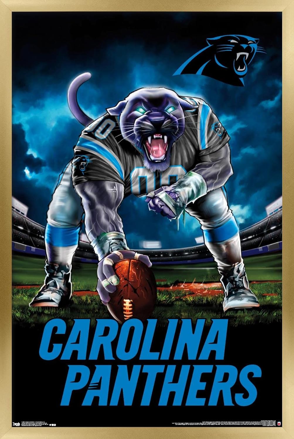 Trends International NFL Carolina Panthers - 3 Point Stance 19 Wall Poster, 14.725" x 22.375", Black Framed Version