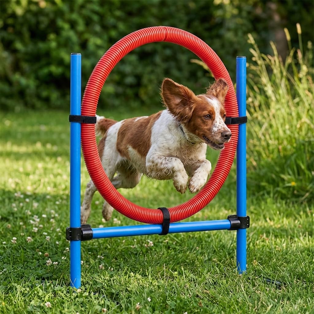 Cerceau d’Agilité pour Chien en Plastique avec Supports Métalliques Ajustables – Entraînement Canin Ludique et Renforcement de l’Agilité et de la Coordination