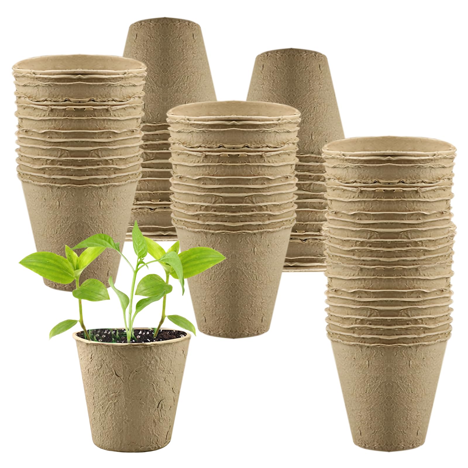 100 Piezas 6×5.5cm Macetas de Semillas Biodegradables: Maceta de Plántulas Biodegradable, Planteros Pequeñas Celulosa, Macetas Semillas Redondas, con Herramientas para Plantar, Invernadero