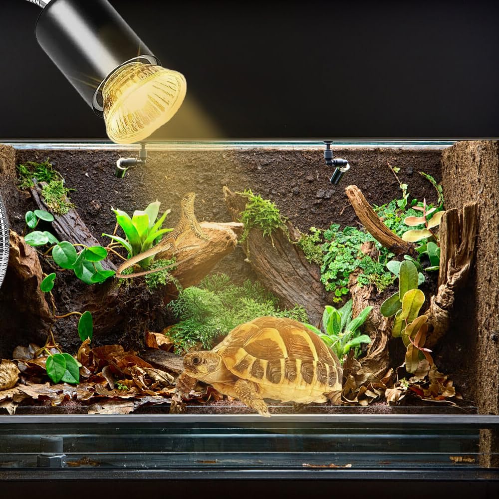 Lámpara para Tortuga, Lámpara de Calor de Reptil, Luz Caliente para Tortugas con Clip con Interruptor de temporizador y 2 lampadine da 25W 50W para Reptiles y Anfibios