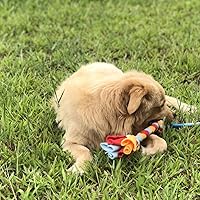 Vista 2 de Dewonch Juguete teaser de cuerda polar para perros como reemplazo para Chase and Tug (A-2PCS)