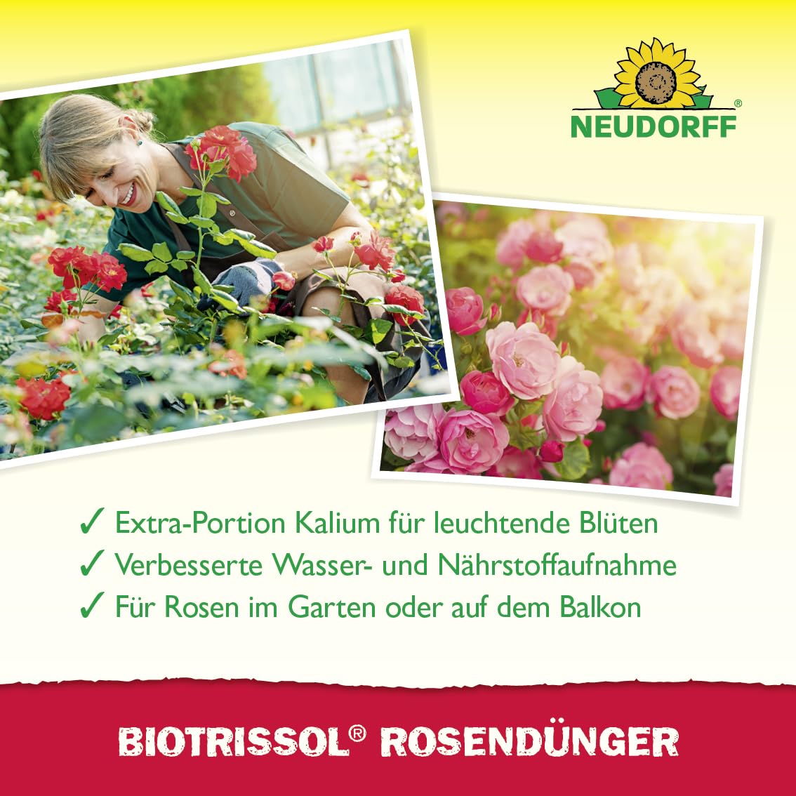 Neudorff BioTrissol RosenDünger - Bio Spezialdünger mit Extra Kalium fördert gesunde und blütenreiche Rosen auf dem Balkon oder im Garten, 1 Liter