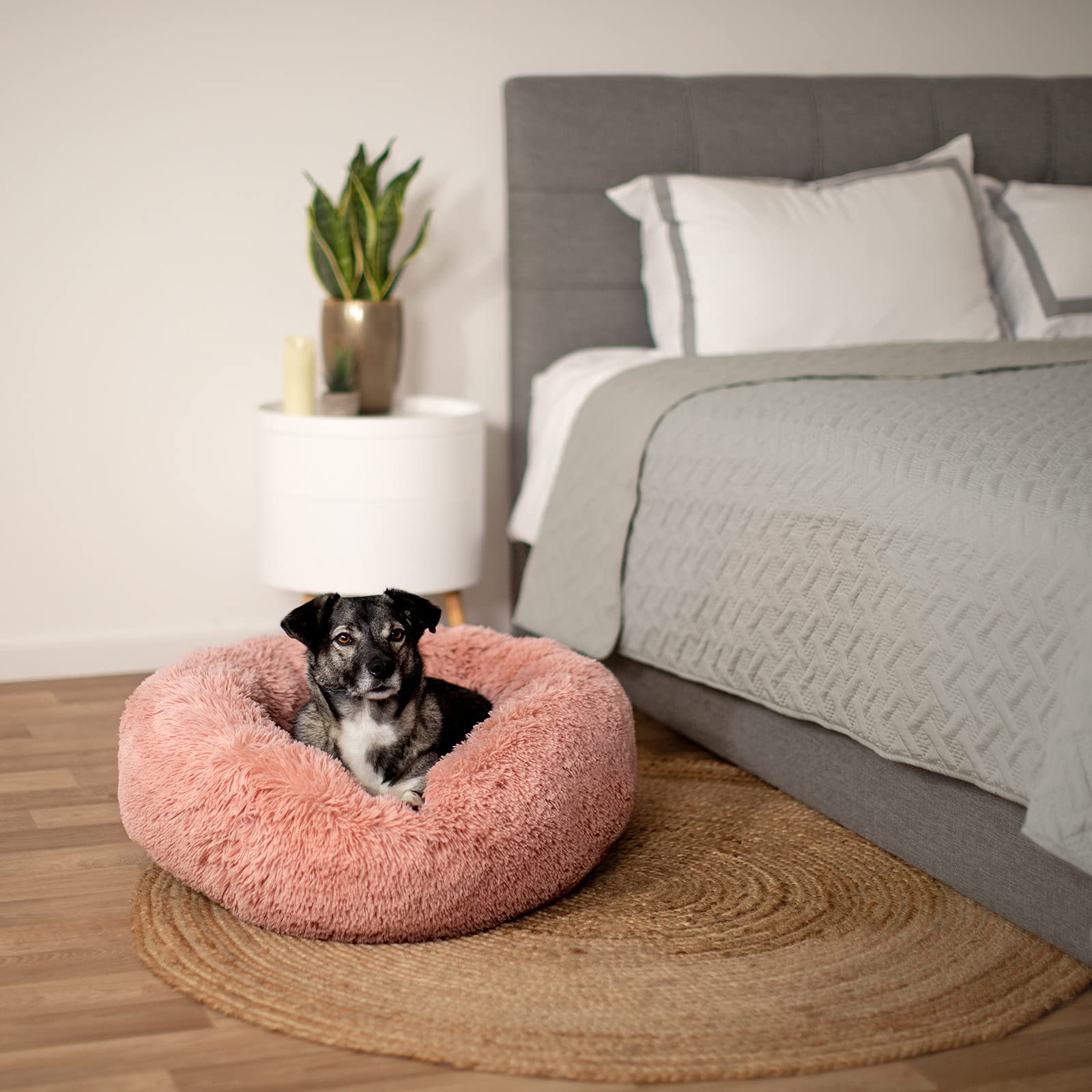 lionto Letto per Cani Rotondo Cuscino Gatti Letto Donut, (L) 60 cm Ø Rosa