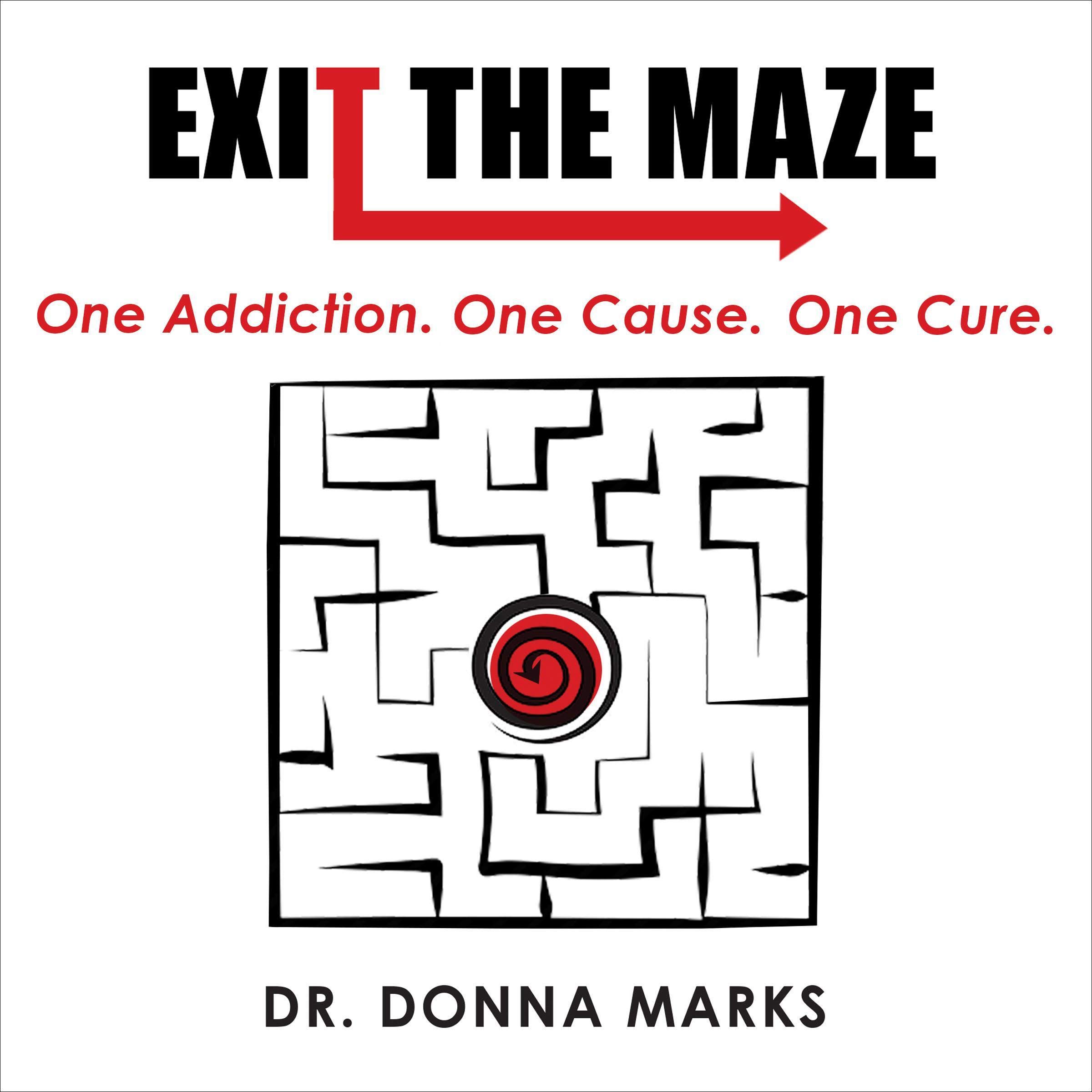 Exit the Maze